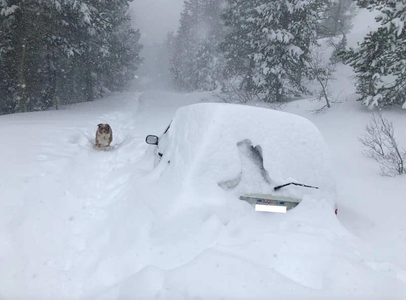 Illustration for article titled A Tesla Engineer's Jeep Ended Up Under 10 Feet of Snow for Months and It's Still There